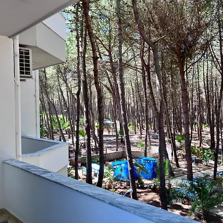 Kazazi Spille Apartamento Rrogozhine